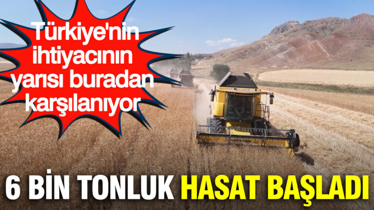 haber-gorseli-1786453556736